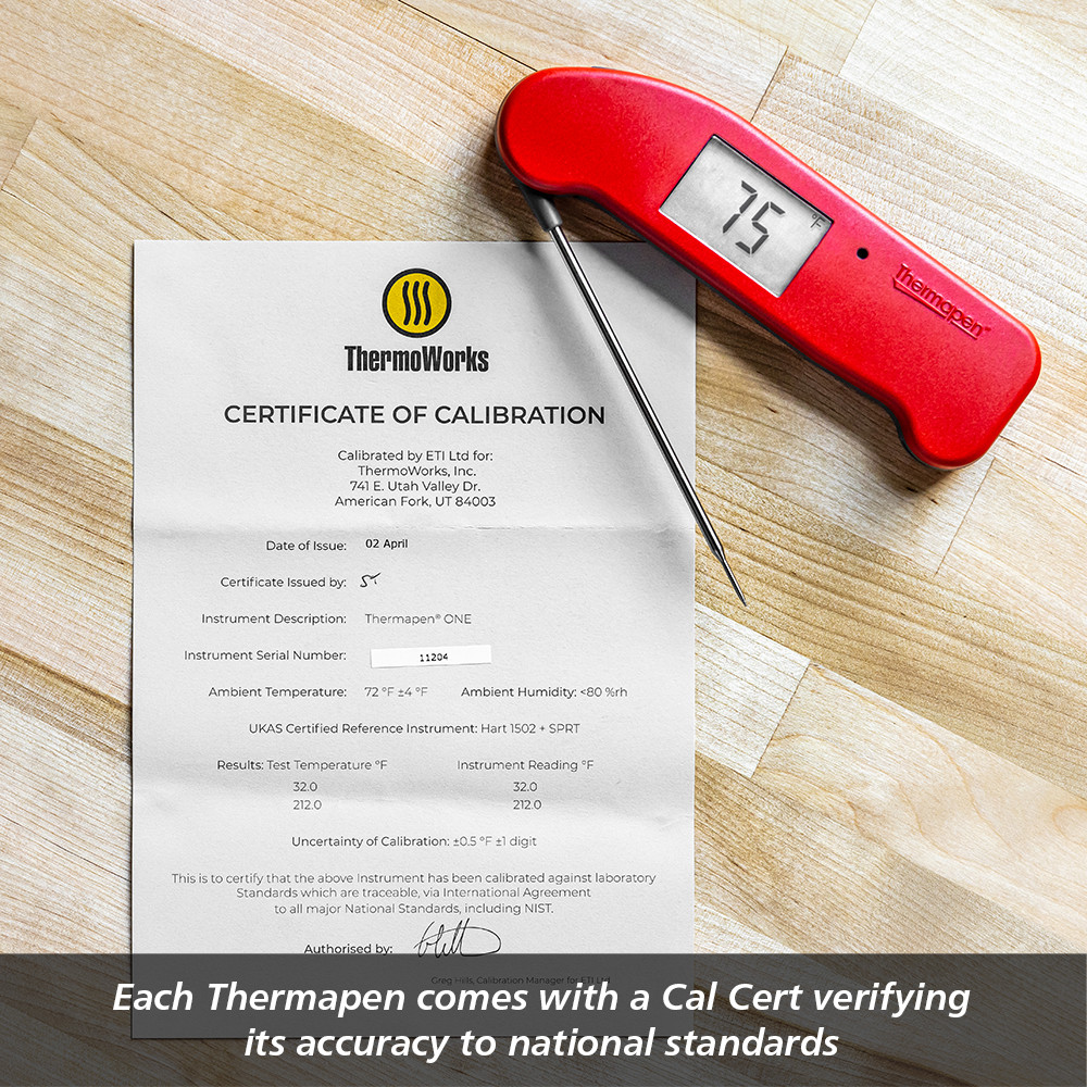 ThermoWorks Thermapen ONE – Zest Billings, LLC
